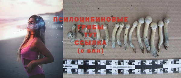 эйфоретик Лабытнанги