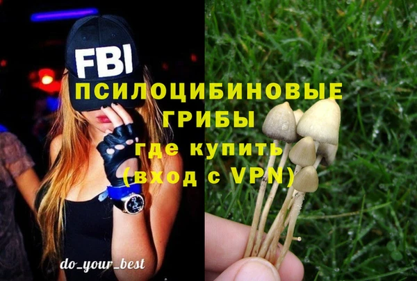 эйфоретик Лабытнанги