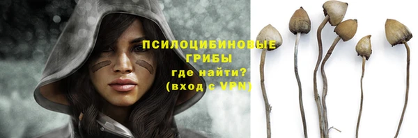 метадон Ладушкин