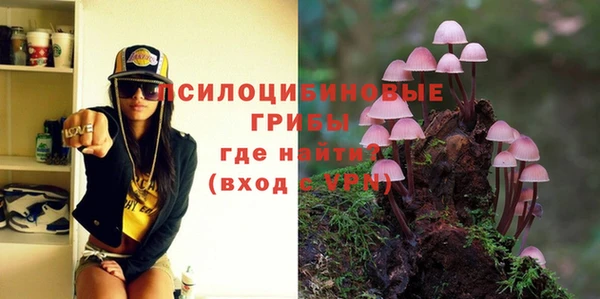 метадон Ладушкин