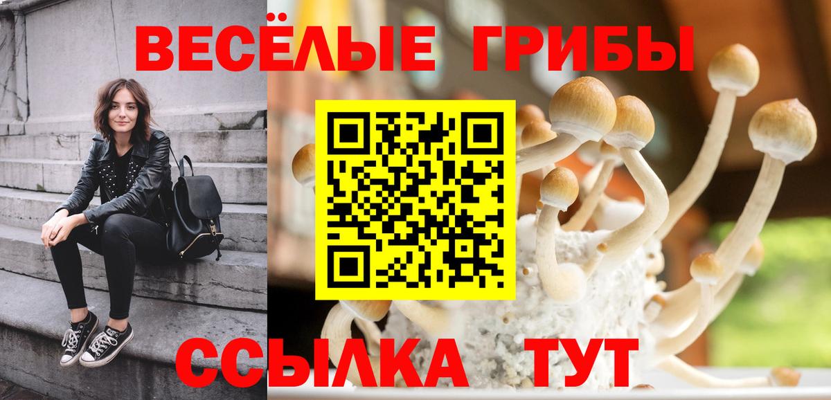 Псилоцибиновые грибы Psilocybine cubensis  Мытищи  Псилоцибиновые грибы Magic Shrooms 