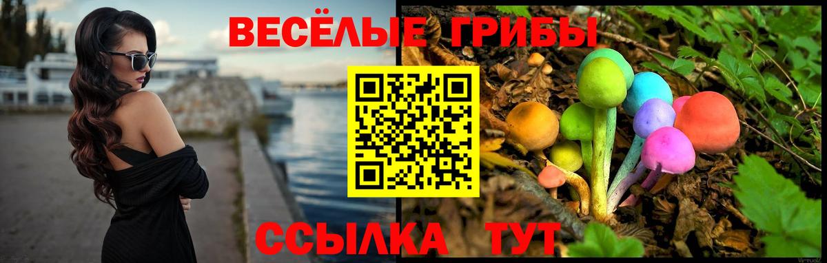 Псилоцибиновые грибы Psilocybine cubensis  Вход с VPN  Мытищи 