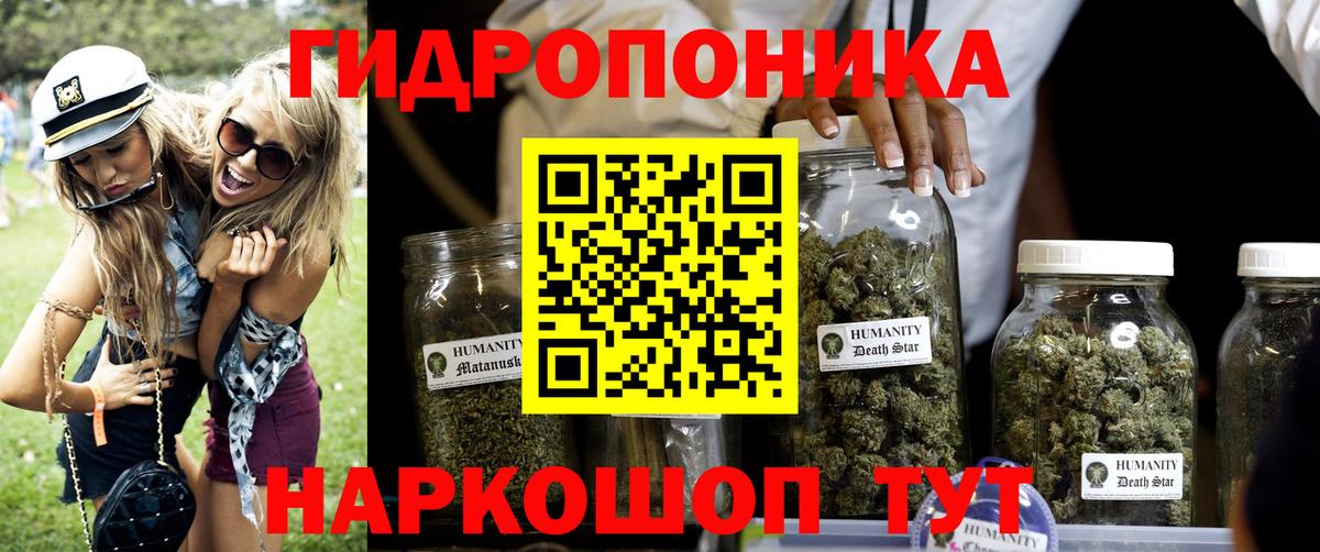 Бошки марихуана сатива  Марихуана Ganja  Мытищи  Марихуана OG Kush 